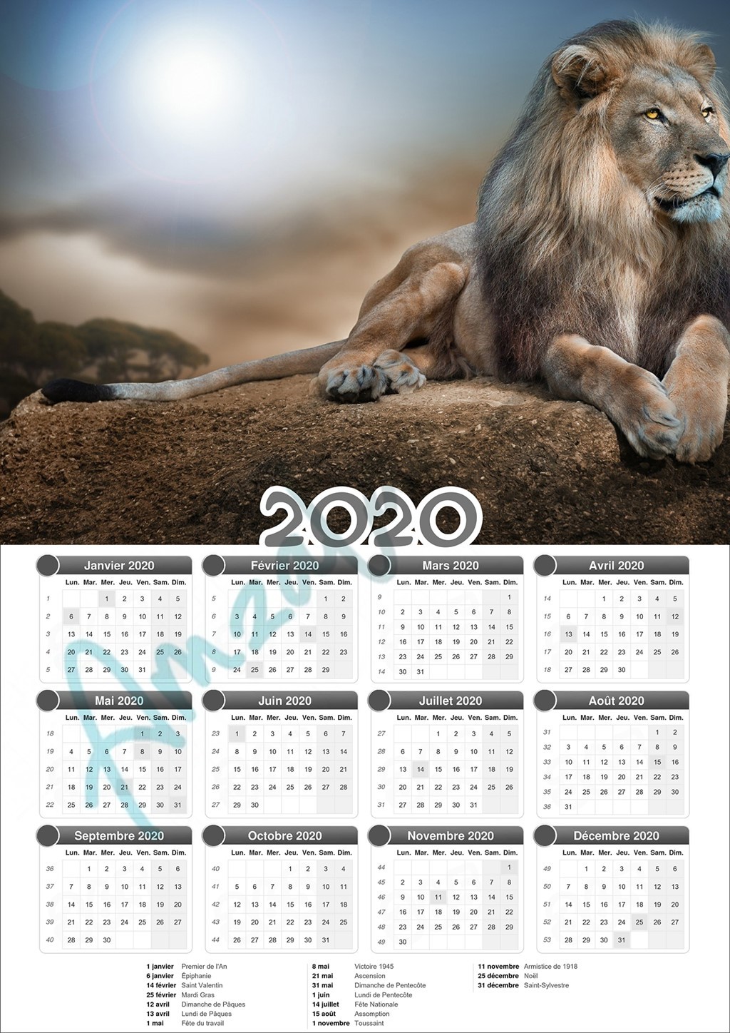 Calendrier collection ANIMAUX LION V2