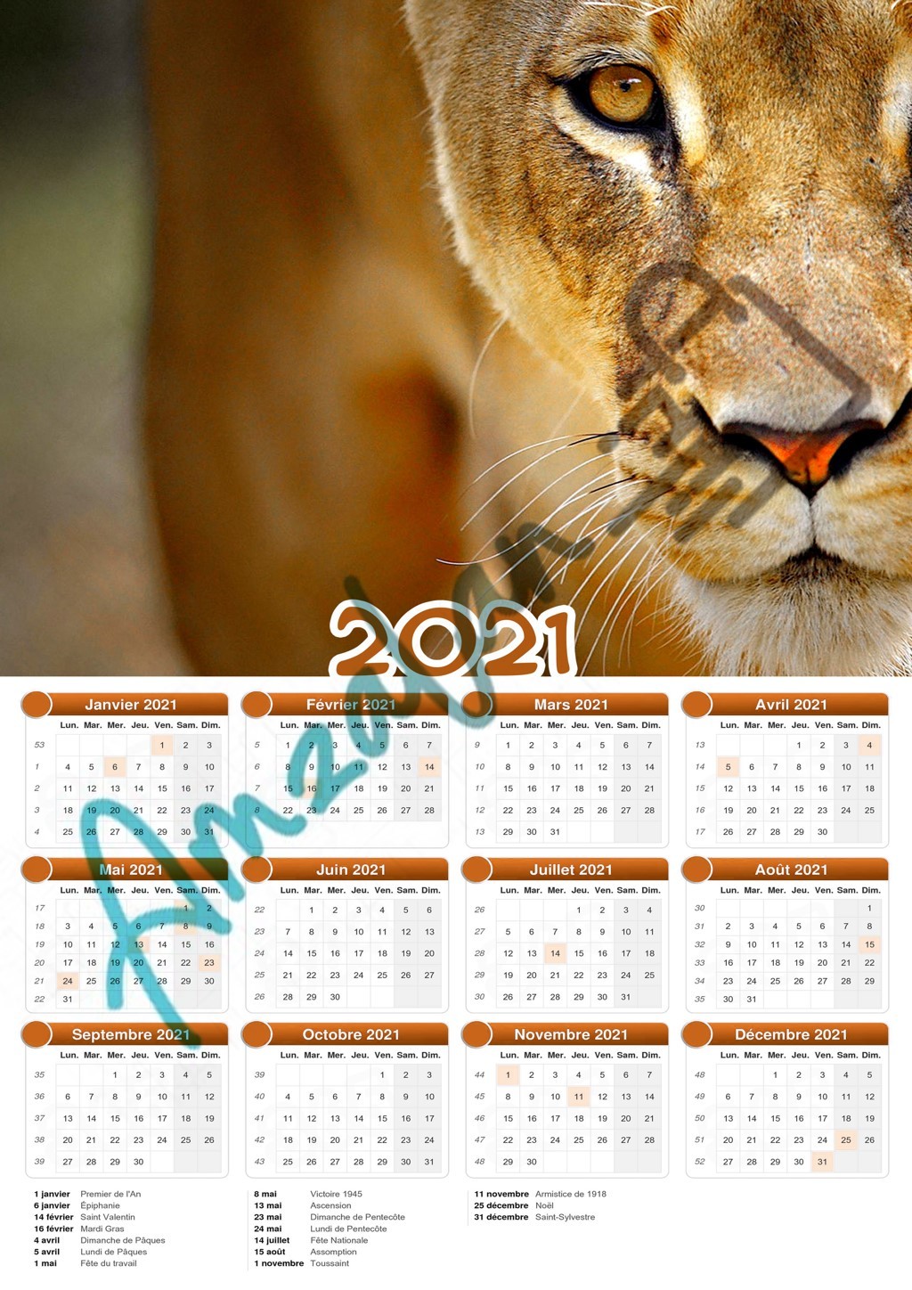 Calendrier collection ANIMAUX LIONNE