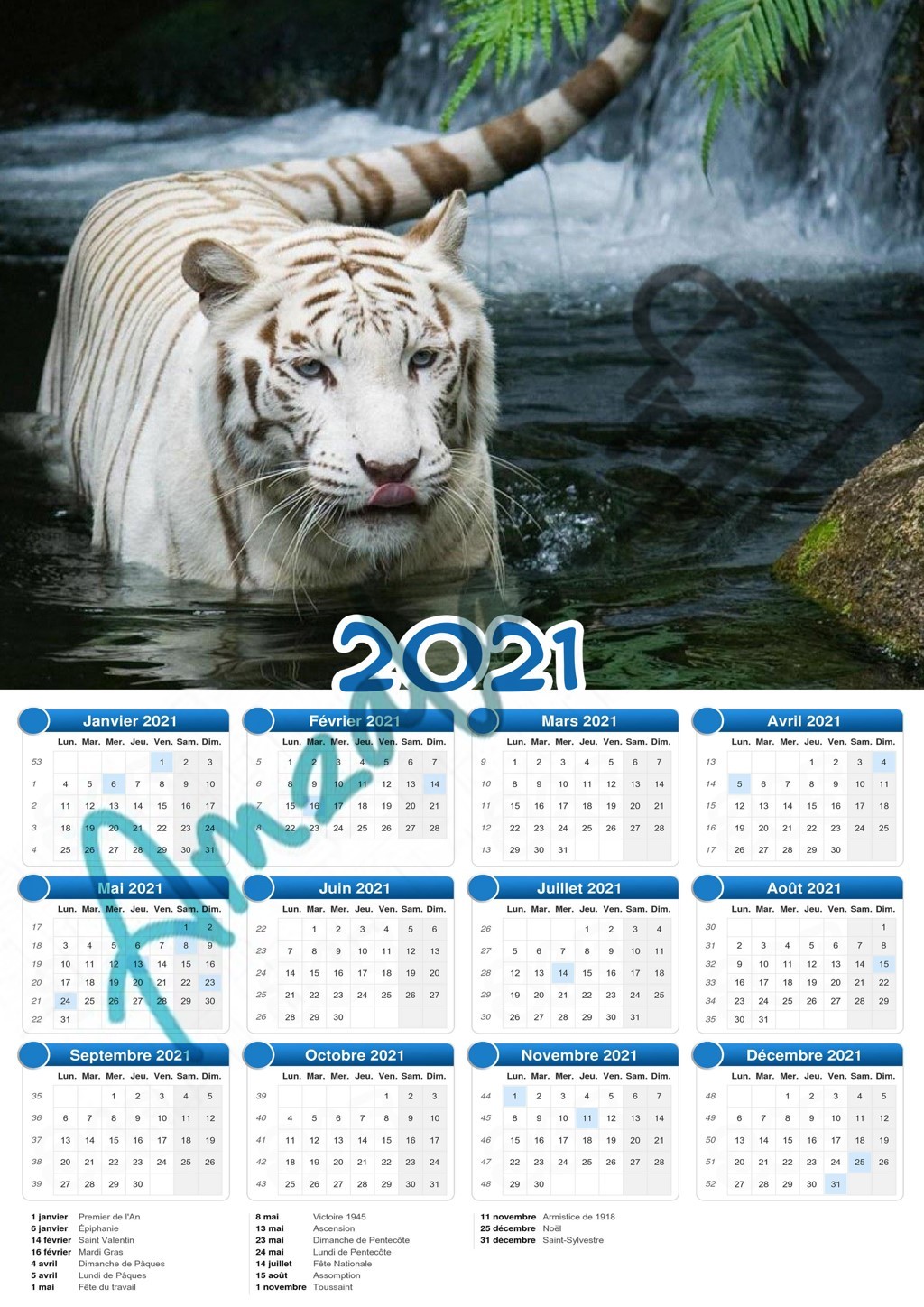 Calendrier collection ANIMAUX TIGRE BLANC V1