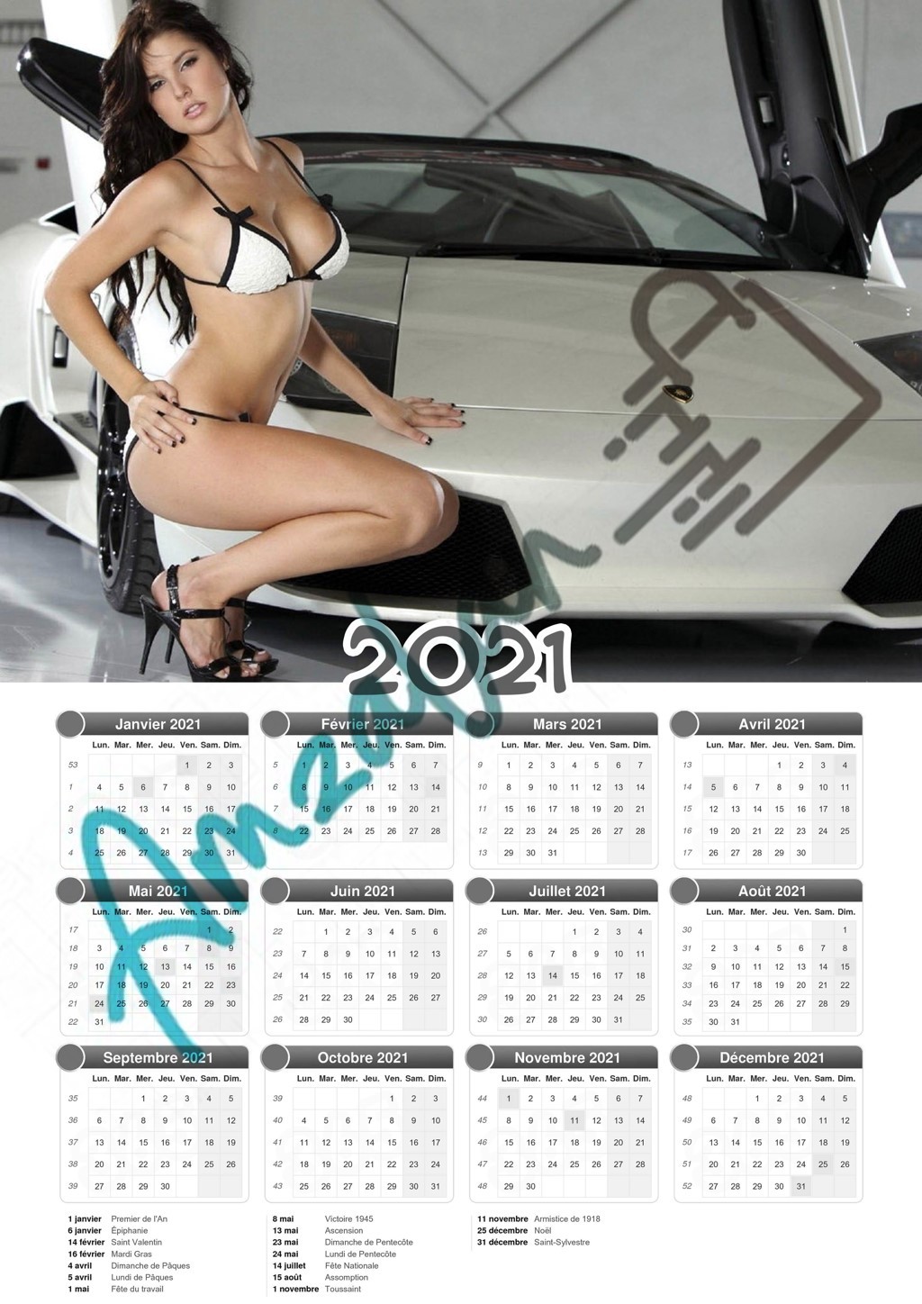 Calendrier collection FEMME SEXY V3