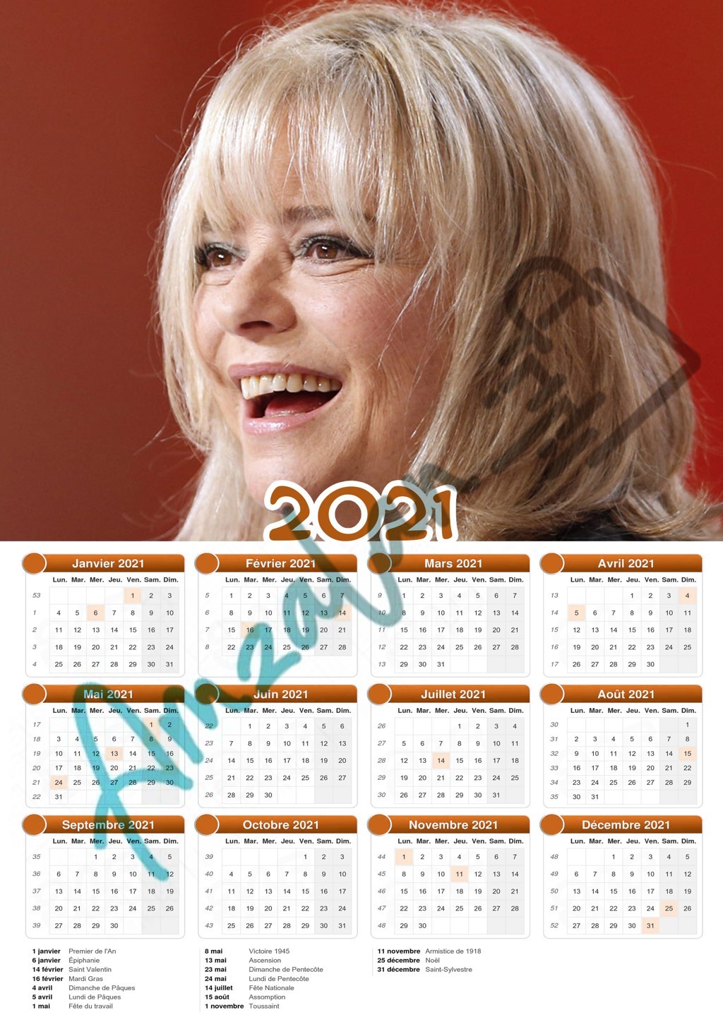 Calendrier collection STAR FRANCE GALL V01