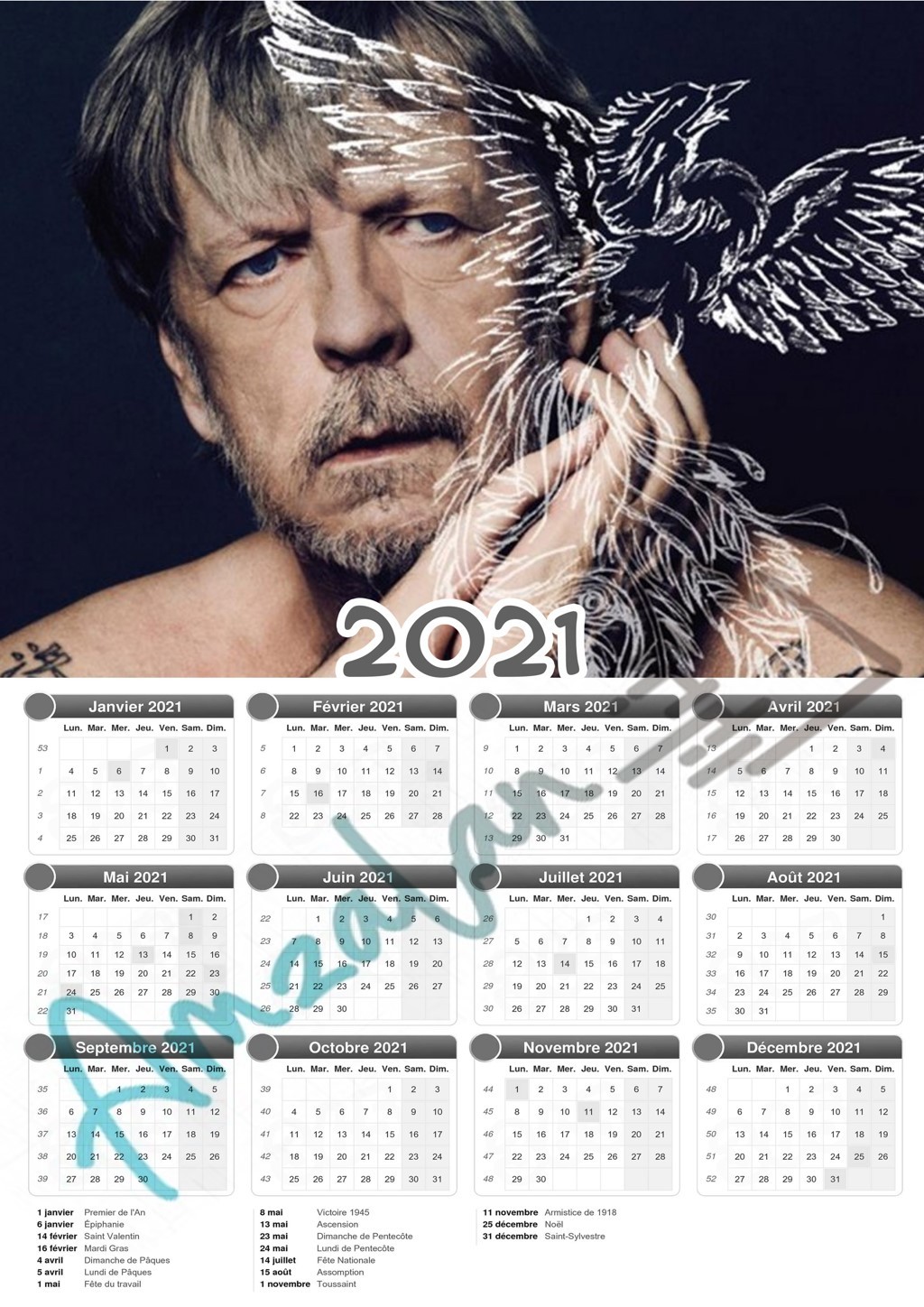 Calendrier collection STAR RENAUD V2