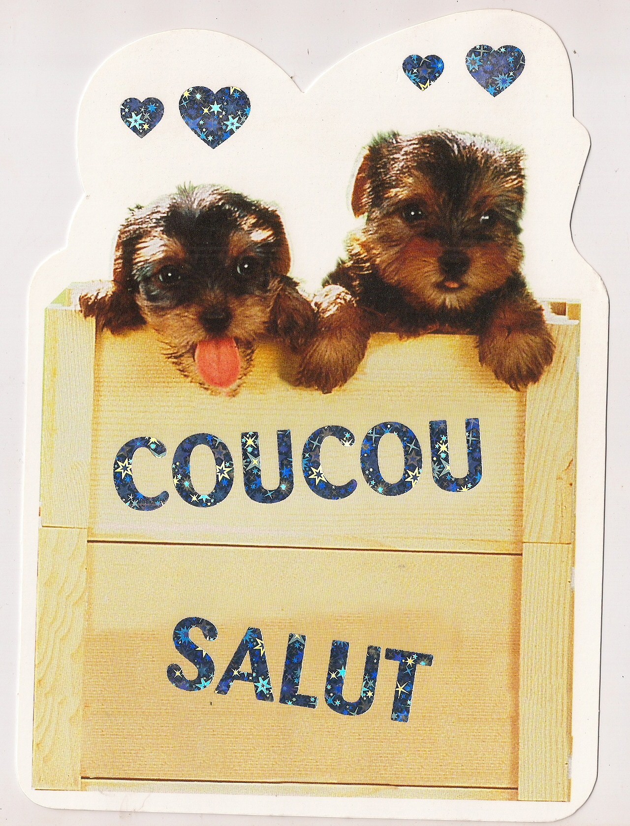 Carte message Coucou Salut - chiots divers occasions