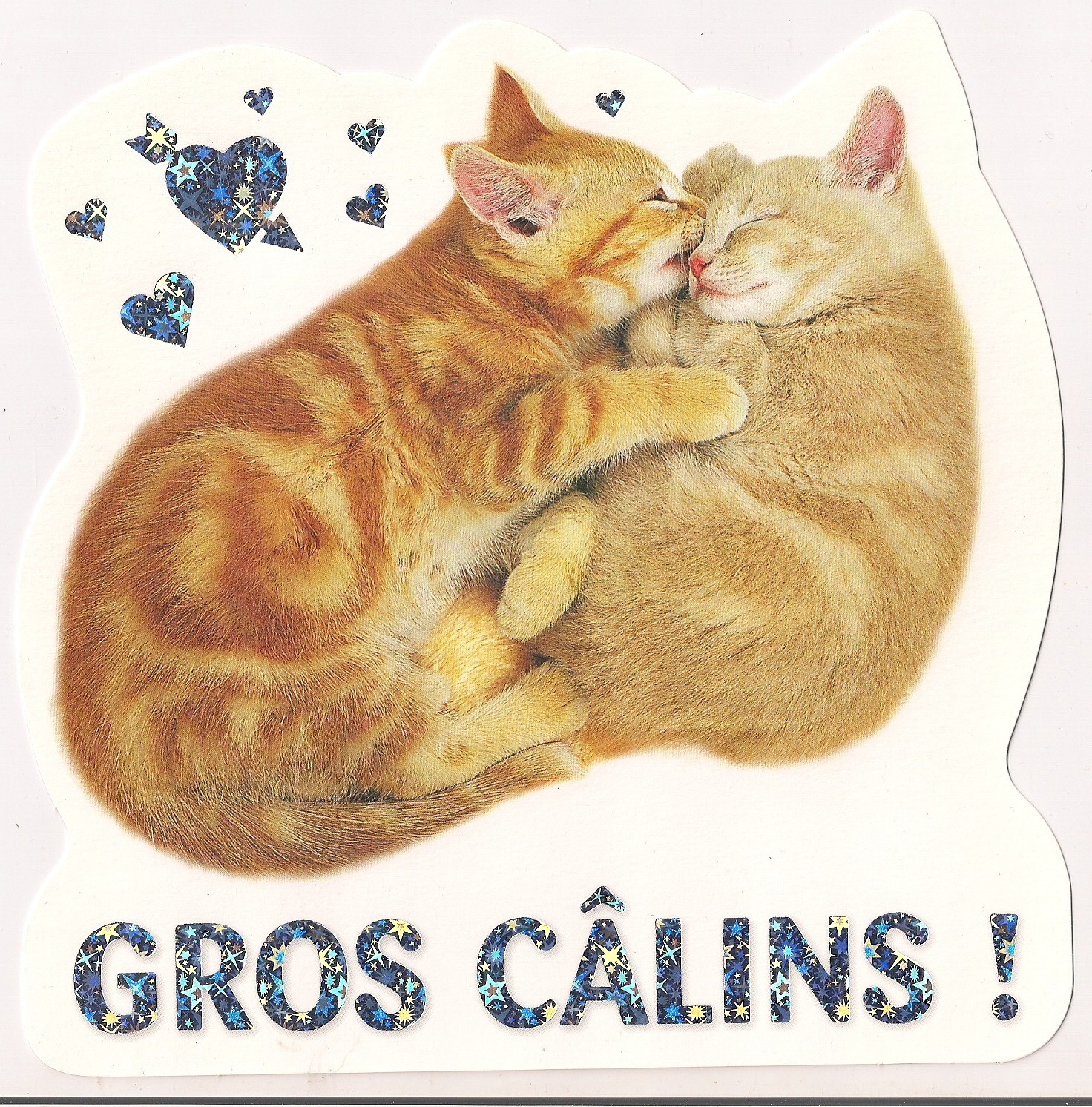 Carte message Gros câlins chatons divers occasions