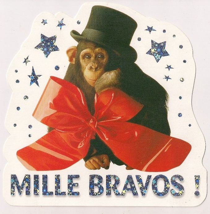 Carte message MILLE BRAVOS - singe humour divers occasions
