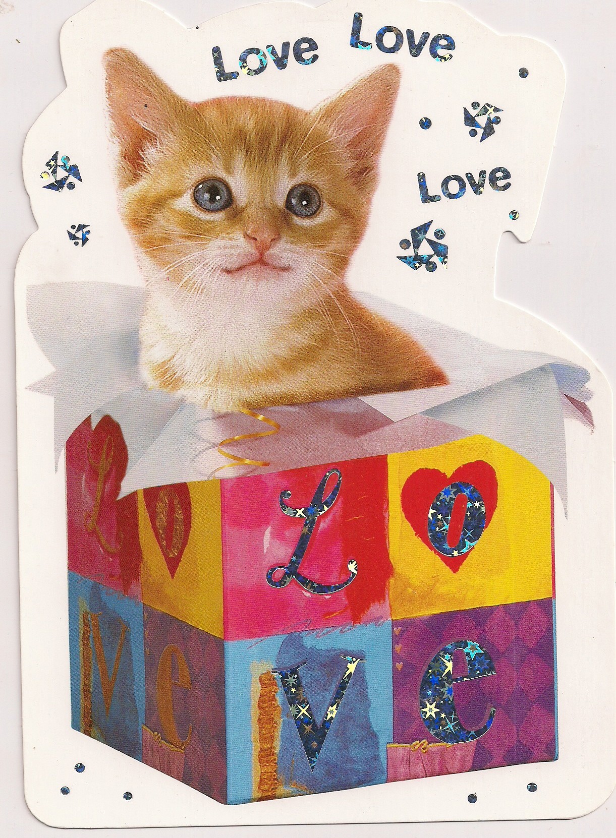 Carte message chaton love love love divers occasions