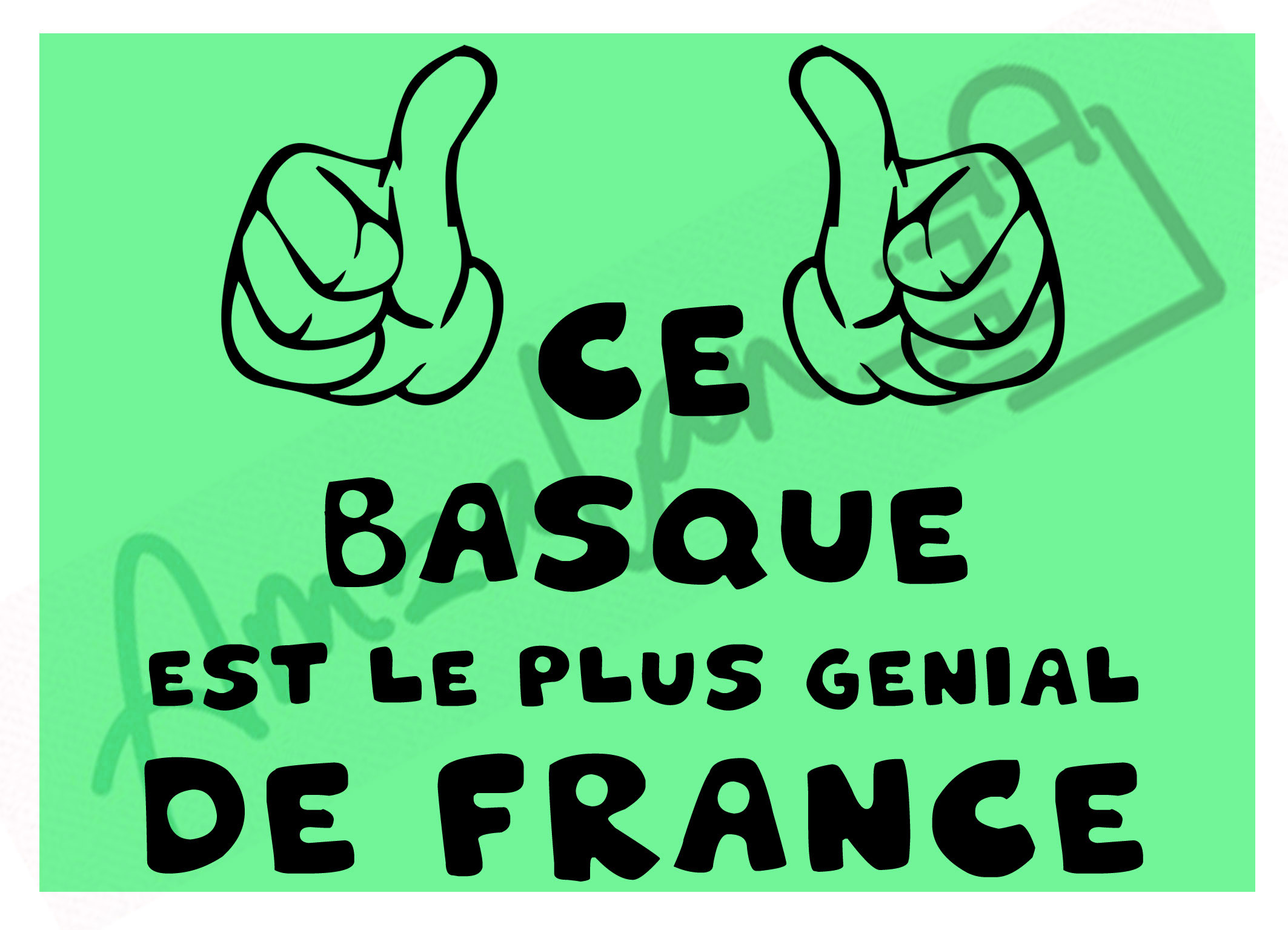 Ce Basque est le + génial de France vert