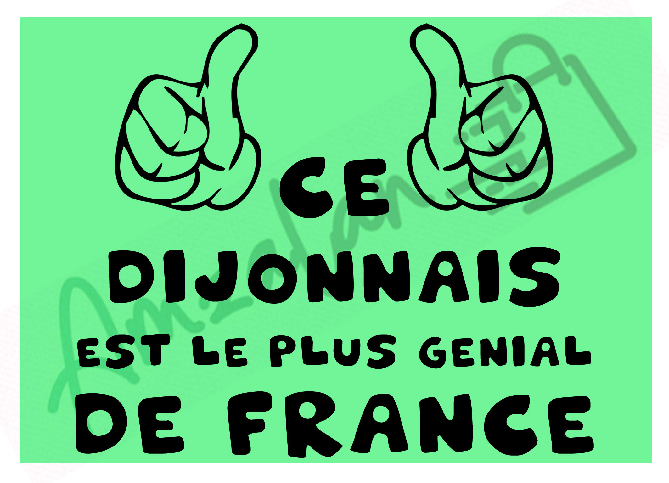 Ce Dijonnais est le + génial de France vert