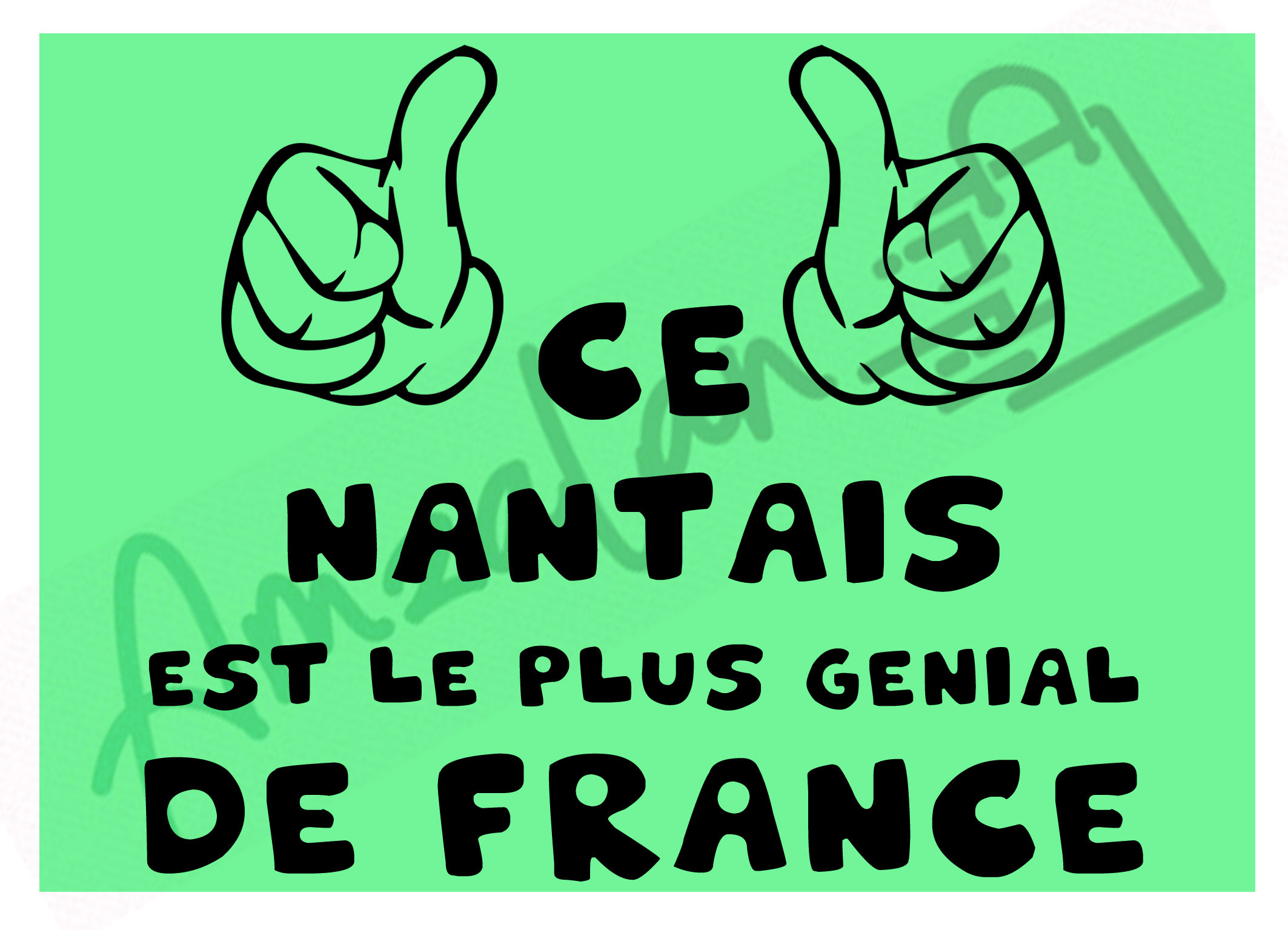 Ce Nantais est le + génial de France vert