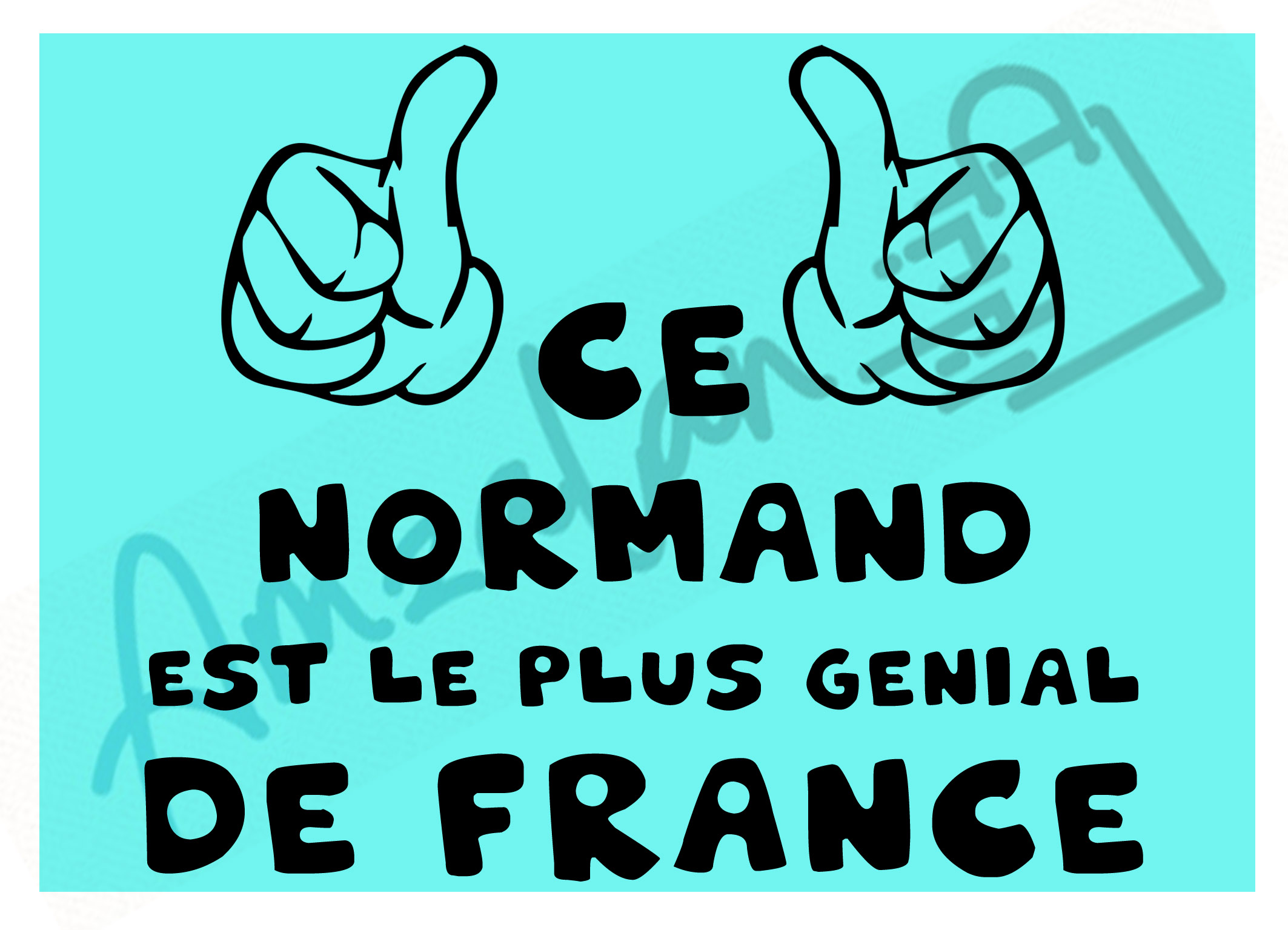 Ce Normand est le + génial de France fond bleu