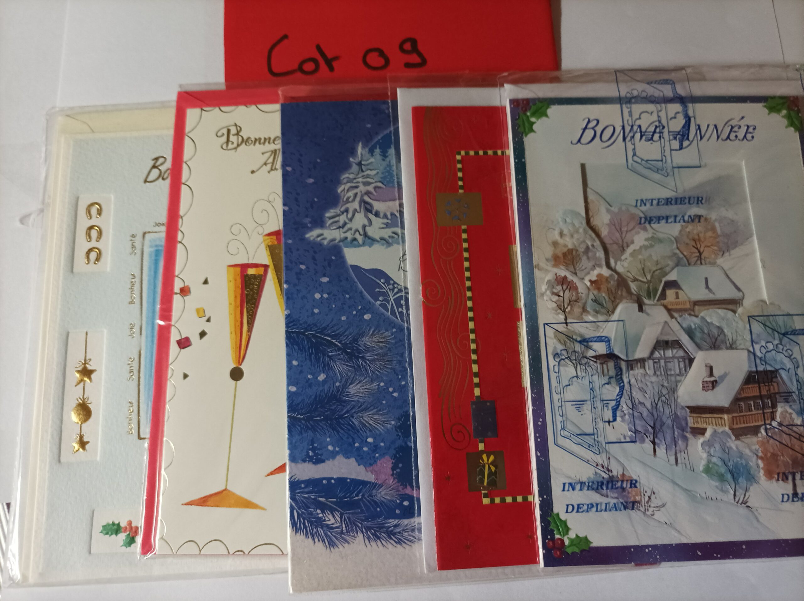 Lot de 5 cartes postales + enveloppes bonne année (lot 09)