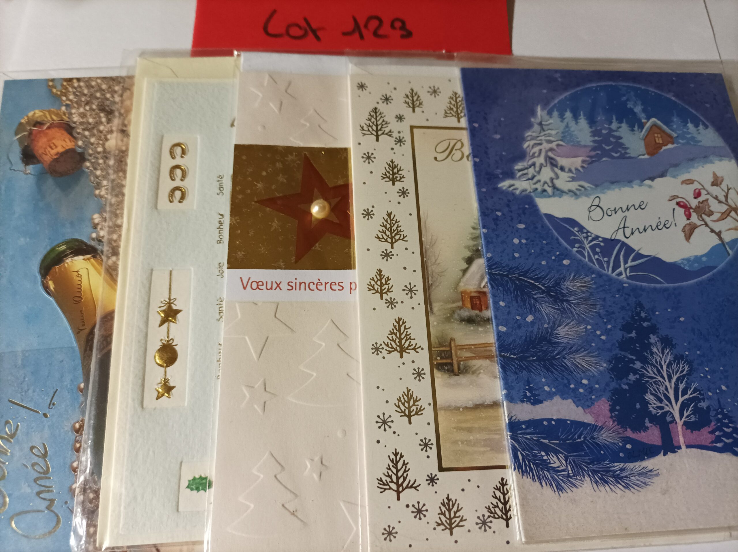 Lot de 5 cartes postales + enveloppes bonne année (lot 123)