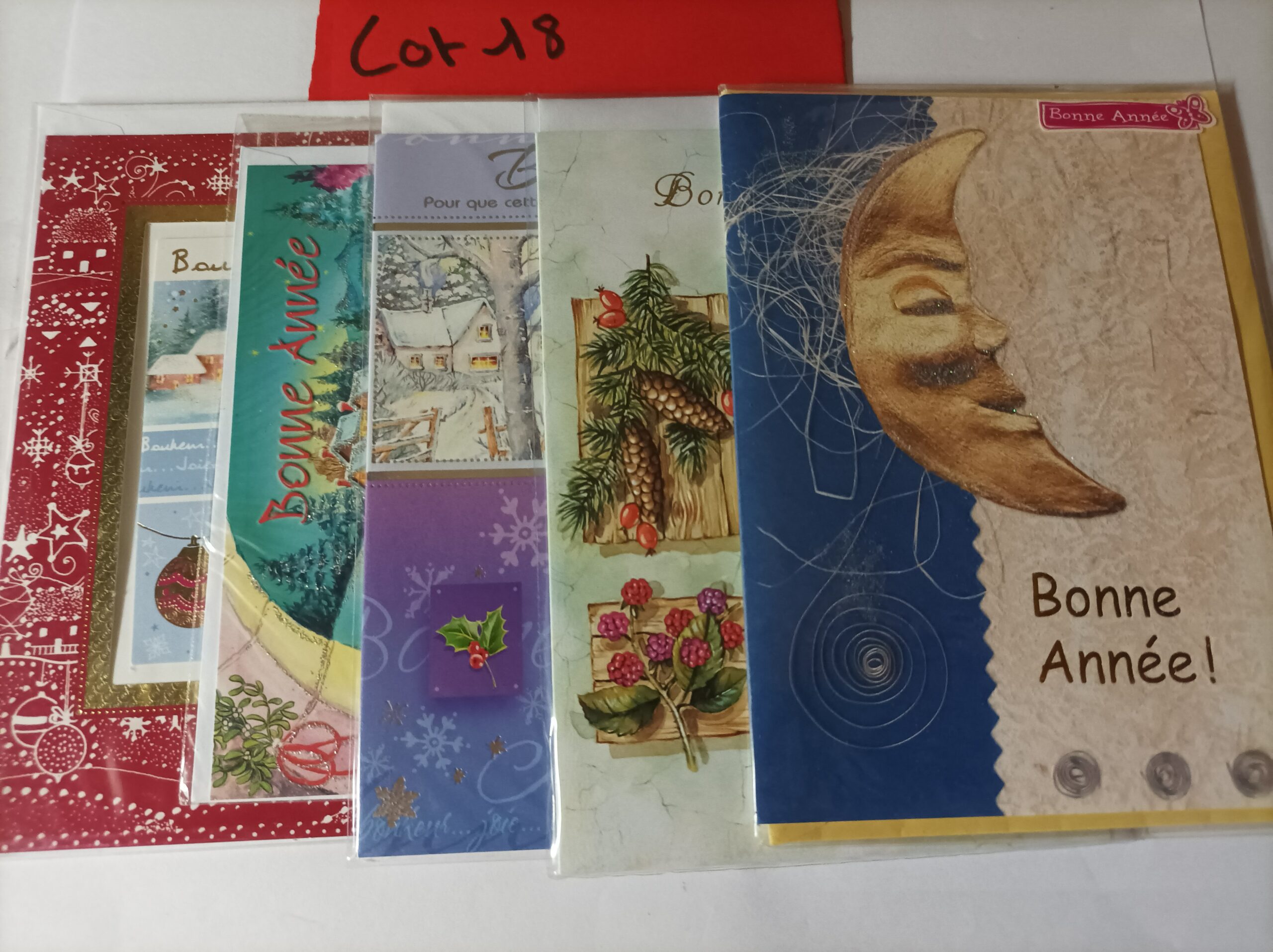 Lot de 5 cartes postales + enveloppes bonne année (lot 18)