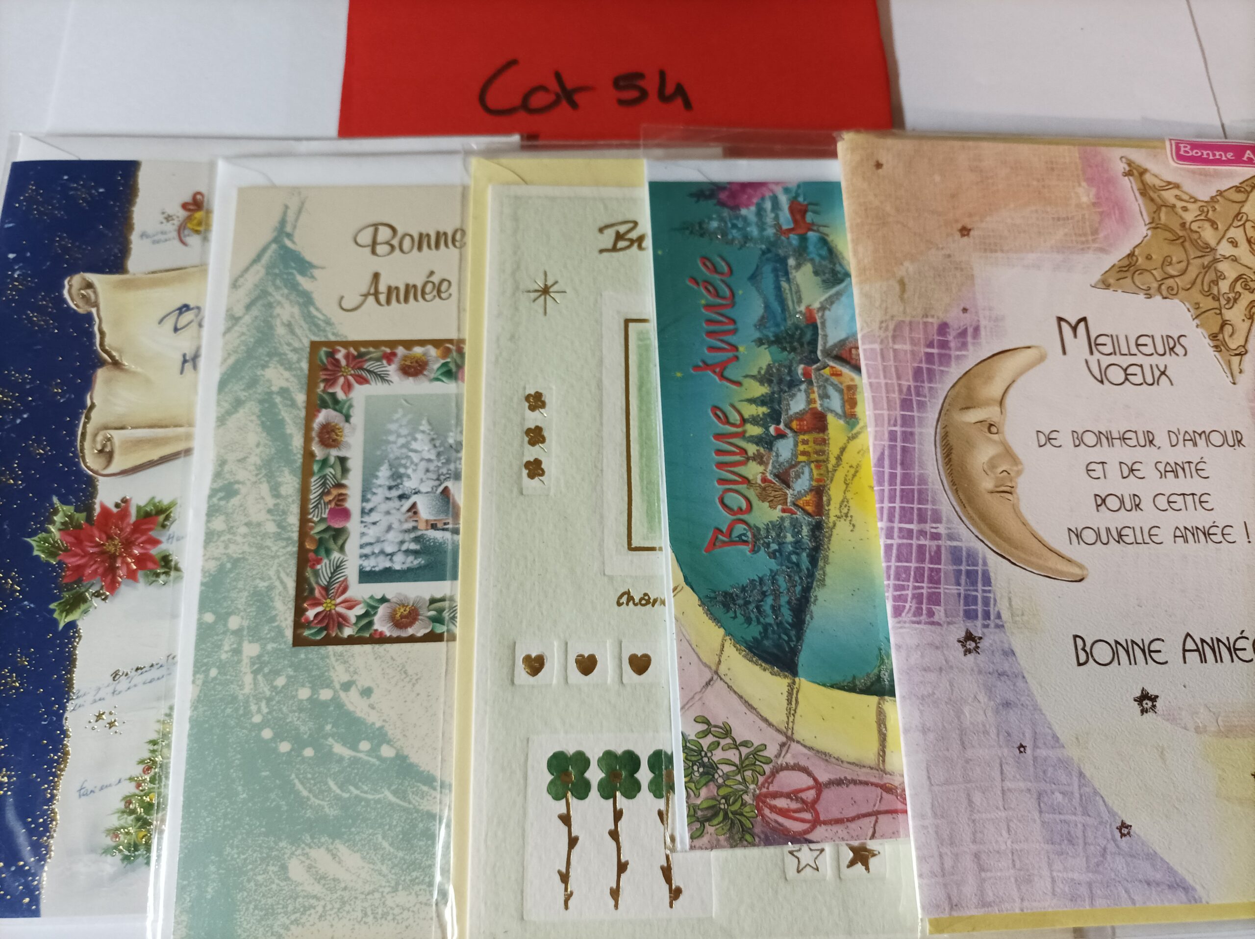 Lot de 5 cartes postales + enveloppes bonne année (lot 54)