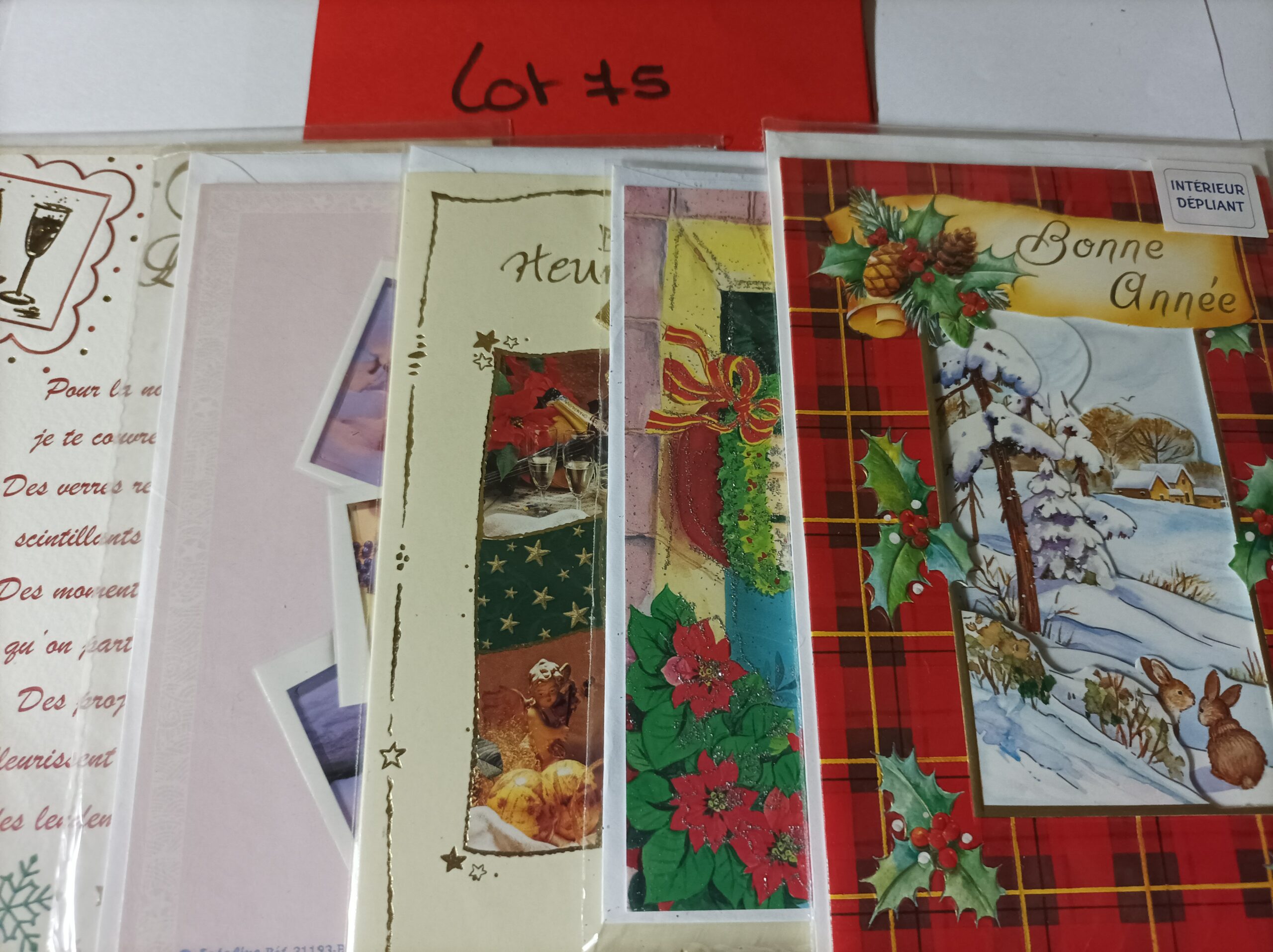 Lot de 5 cartes postales + enveloppes bonne année (lot 75)