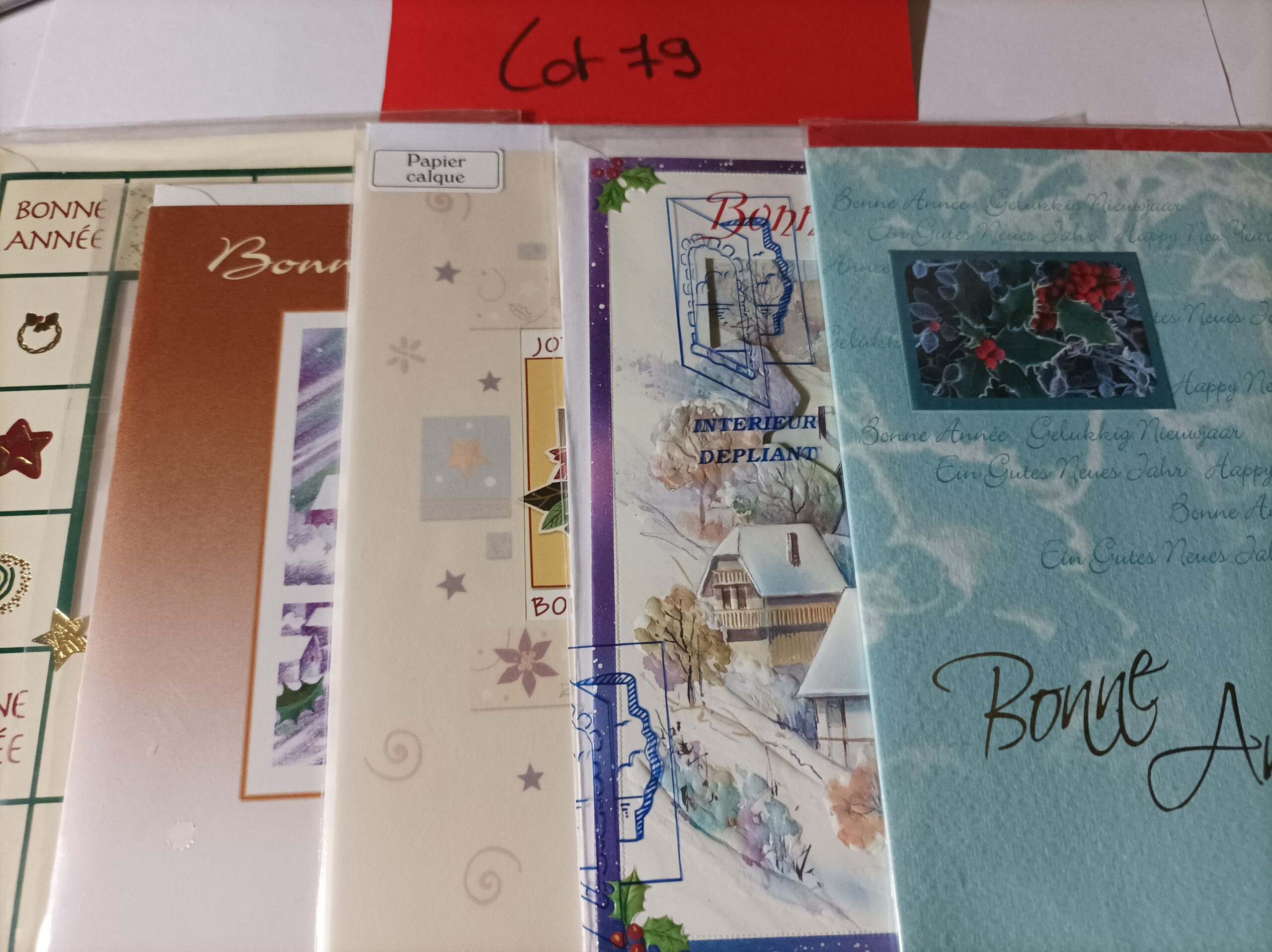 Lot de 5 cartes postales + enveloppes bonne année (lot 79)